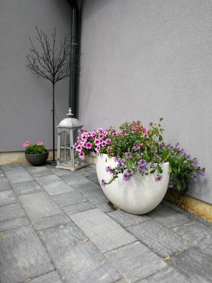 פץ' Zsinko Villa מראה חיצוני תמונה